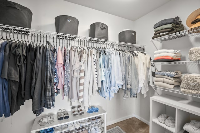 153 Glory Rd, Beaufort, SC 29906 - walk in closet with carpet flooring