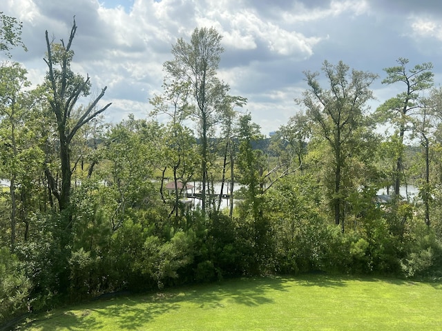 3016 Evening Tide Dr, Hanahan, SC 29410 - view of grassy yard with a water view