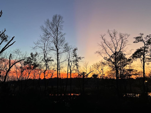 3016 Evening Tide Dr, Hanahan, SC 29410 - view of nature at dusk