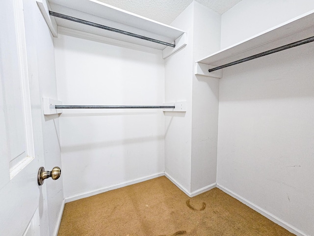 walk in closet with carpet floors