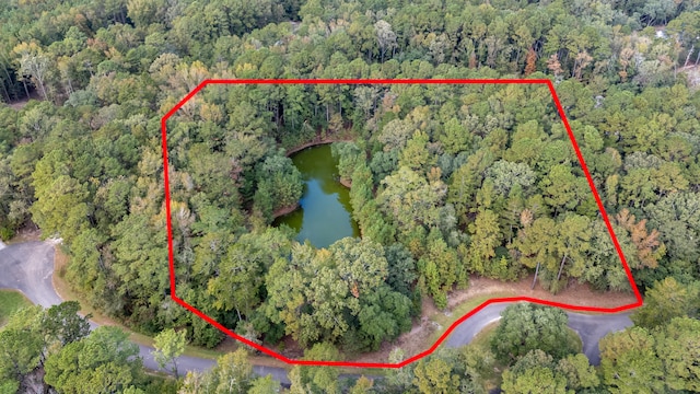 6280 Button Bush Dr, Ravenel SC, 29470 land for sale