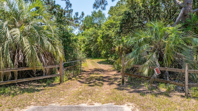 6589 Bears Bluff Rd, Wadmalaw Island, SC 29487