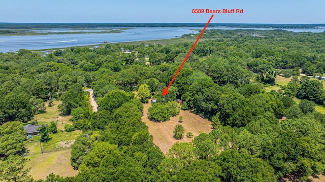 6589 Bears Bluff Rd, Wadmalaw Island, SC 29487