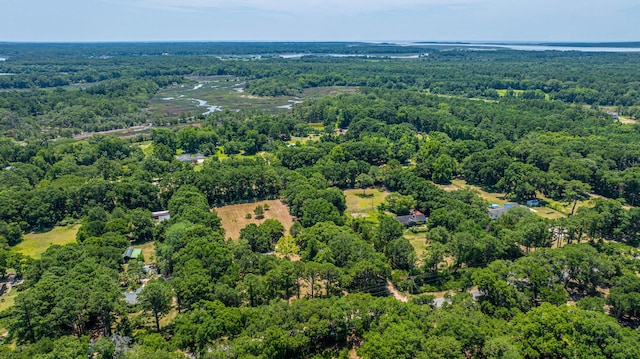 6589 Bears Bluff Rd, Wadmalaw Island, SC 29487