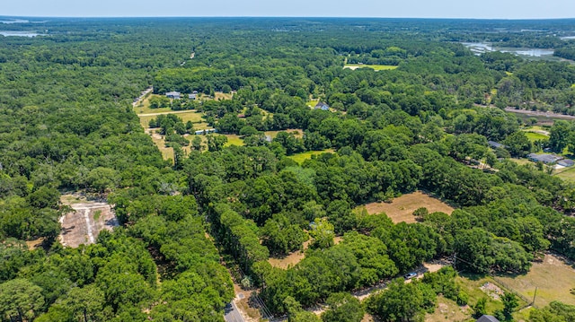 6589 Bears Bluff Rd, Wadmalaw Island, SC 29487