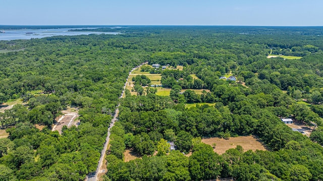 6589 Bears Bluff Rd, Wadmalaw Island, SC 29487