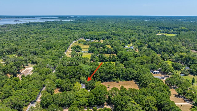 6589 Bears Bluff Rd, Wadmalaw Island, SC 29487
