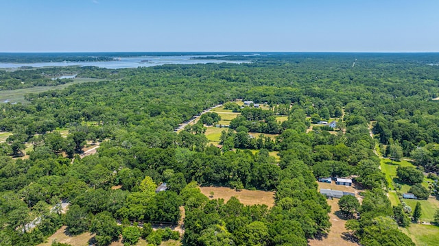 6589 Bears Bluff Rd, Wadmalaw Island, SC 29487