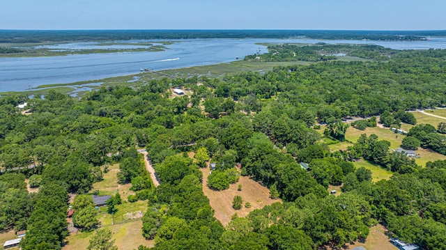 6589 Bears Bluff Rd, Wadmalaw Island, SC 29487