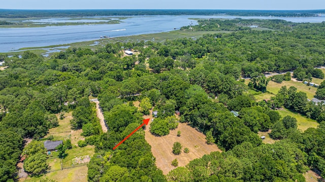 6589 Bears Bluff Rd, Wadmalaw Island, SC 29487