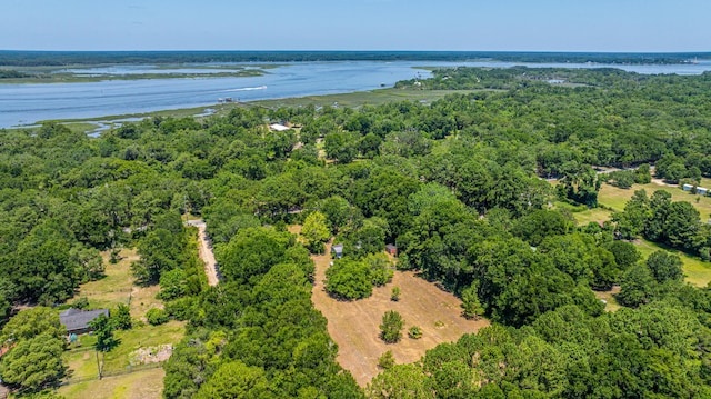 6589 Bears Bluff Rd, Wadmalaw Island, SC 29487