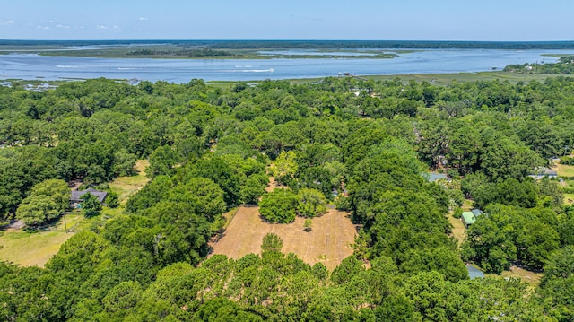 6589 Bears Bluff Rd, Wadmalaw Island, SC 29487
