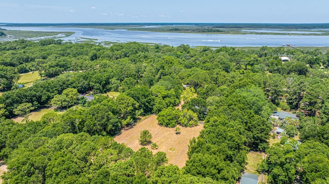 6589 Bears Bluff Rd, Wadmalaw Island, SC 29487