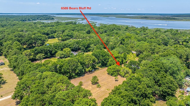 6589 Bears Bluff Rd, Wadmalaw Island, SC 29487