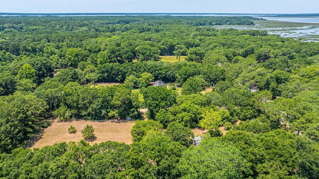 6589 Bears Bluff Rd, Wadmalaw Island, SC 29487