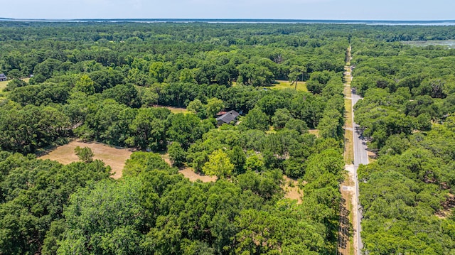 6589 Bears Bluff Rd, Wadmalaw Island, SC 29487