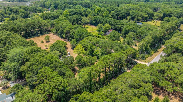 6589 Bears Bluff Rd, Wadmalaw Island, SC 29487
