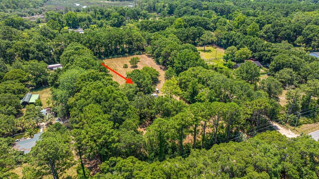 6589 Bears Bluff Rd, Wadmalaw Island, SC 29487