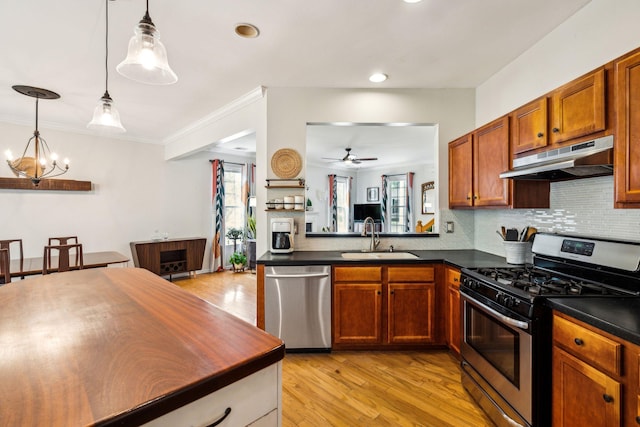 kitchen with appliances with stainless steel finishes, a sink, under cabinet range hood, light wood-type flooring, and backsplash