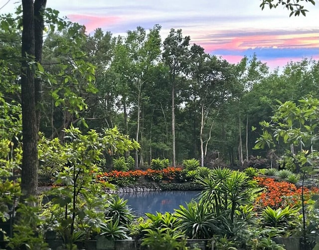 view of surrounding community