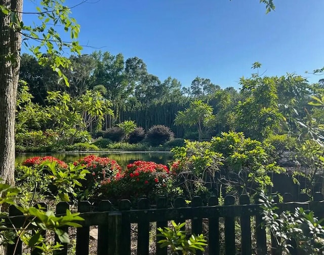 view of yard with a water view