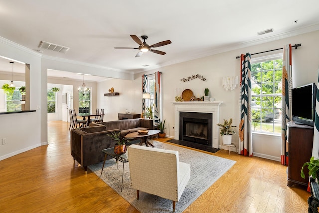 living area with a ceiling fan, light wood finished floors, healthy amount of natural light, a fireplace with flush hearth, and crown molding