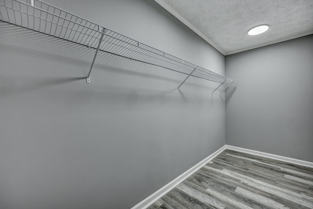 walk in closet with wood finished floors