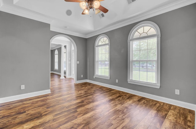 spare room featuring plenty of natural light, ceiling fan, and ornamental molding