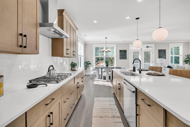 kitchen with appliances with stainless steel finishes, sink, hanging light fixtures, and wall chimney range hood