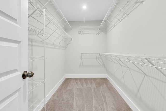 spacious closet with carpet floors