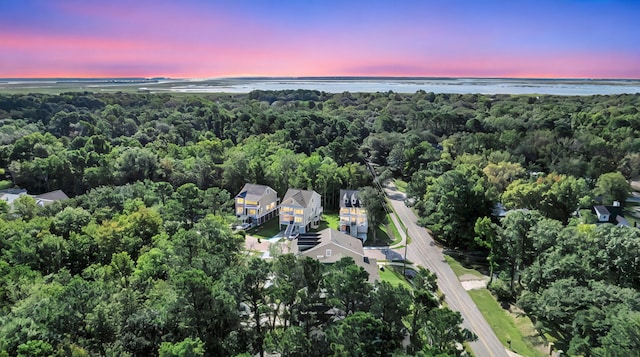 aerial view at dusk with a forest view and a water view