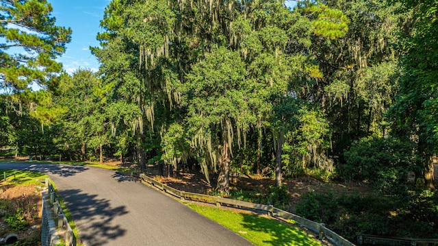 Listing photo 3 for 4071 Gnarled Oaks Ln, Johns Island SC 29455