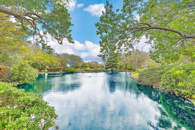 638 Harbor Creek Pl Unit 19, Charleston, SC 29412 - water view