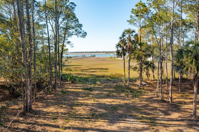 290 Shadow Race Ln, Folly Beach, SC 29439