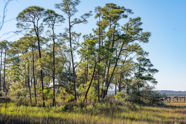 290 Shadow Race Ln, Folly Beach, SC 29439