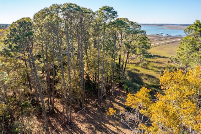 290 Shadow Race Ln, Folly Beach, SC 29439