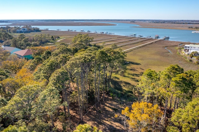 290 Shadow Race Ln, Folly Beach, SC 29439