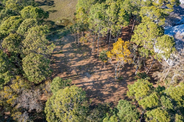 290 Shadow Race Ln, Folly Beach, SC 29439