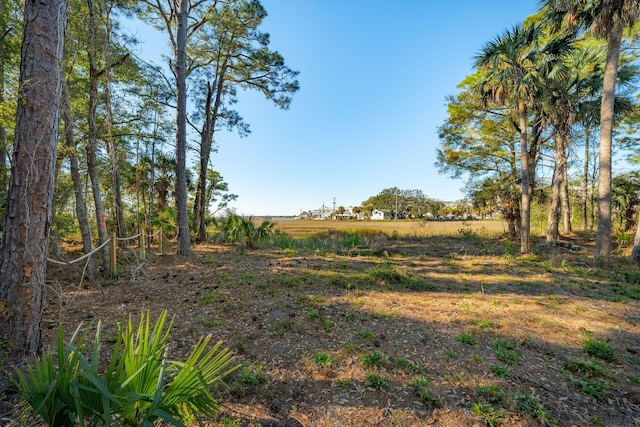 290 Shadow Race Ln, Folly Beach, SC 29439