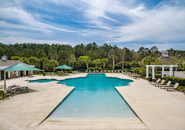 view of pool with a patio area