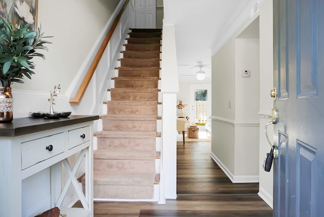 entryway with ceiling fan, dark hardwood / wood-style floors, and ornamental molding