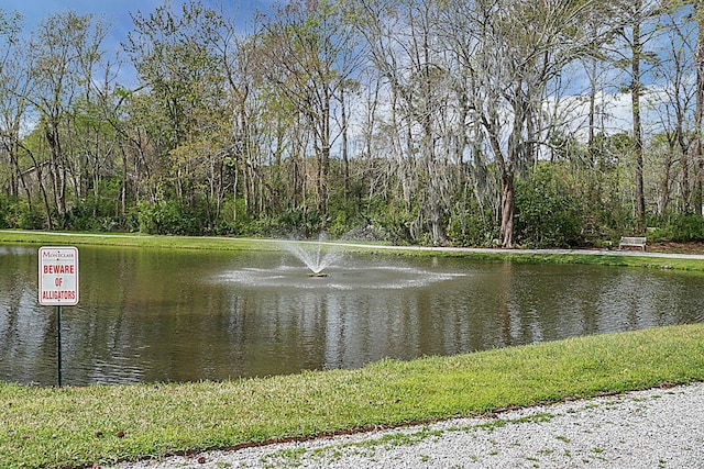 water view