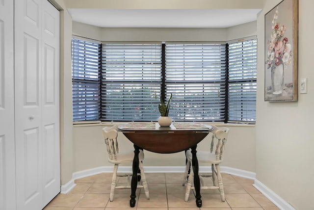 tiled dining area featuring a wealth of natural light