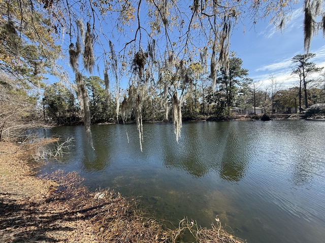 view of water feature