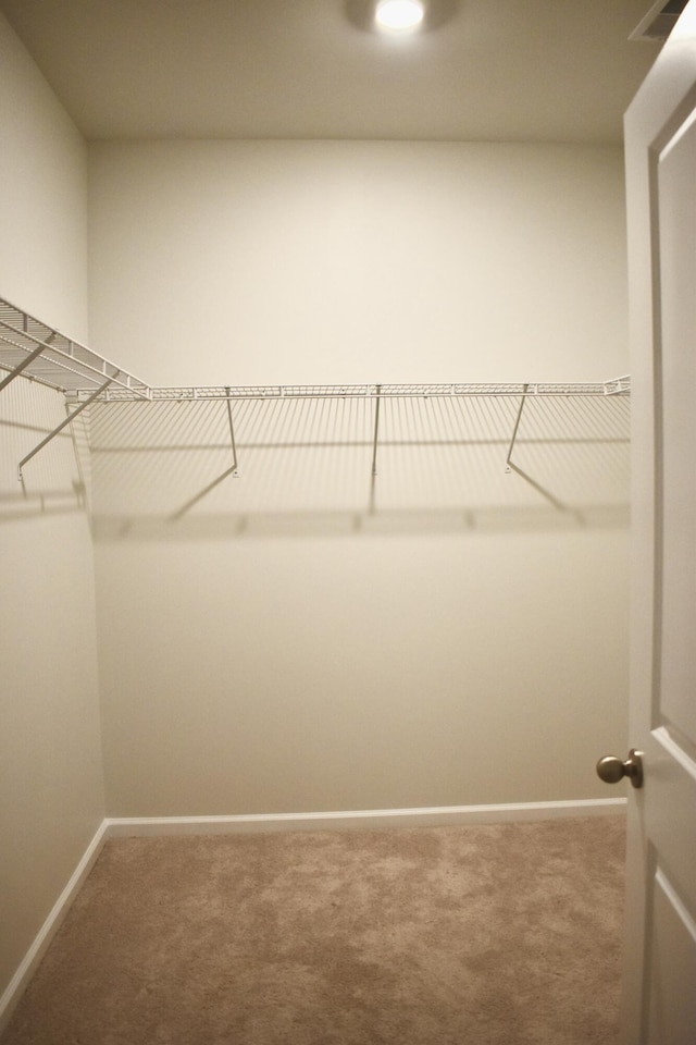 walk in closet with carpet