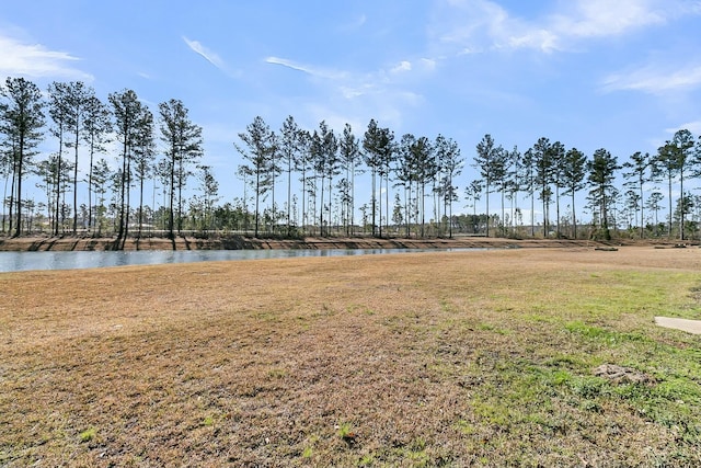 view of yard featuring a water view