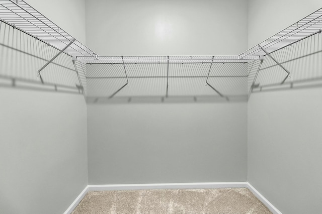 walk in closet with carpet