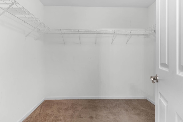 5242 E Dolphin St, North Charleston, SC 29405 - spacious closet with carpet