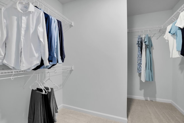 204 Honey Horn Dr, Summerville, SC 29486 - spacious closet with carpet floors
