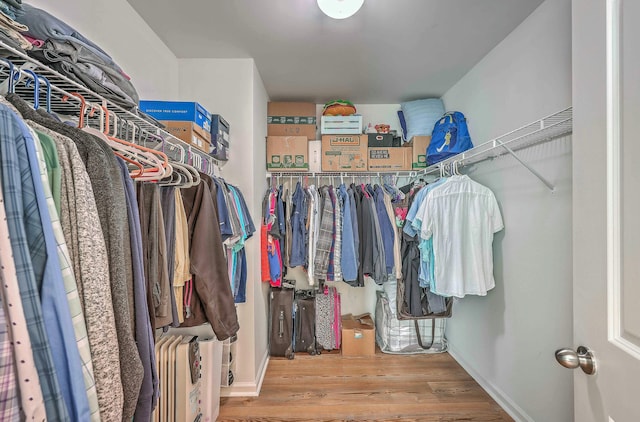 spacious closet featuring hardwood / wood-style flooring